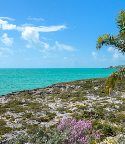 With 300 feet of beach and ocean frontage, Harpers Haven appeals to those seeking seculsion and relaxation.  Situated on two acres, this two-storey, three-bedroom Turks and Caicos villa rental is located in the tranquil Turtle Tail region of Providenciales. While overing seculsion and privacy, guests are still only a 15-minute drive from the...